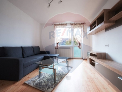 Apartament 2 camere vanzare in bloc de apartamente Brasov, Centrul Civic