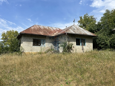 Casavila 3 camere vanzare in Maramures, Carpinis