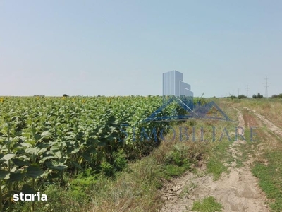 Chiajna- zona industriala- 5000 mp\/ 18.4 euro\/mp