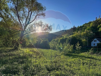 Teren Agricol, Extravilan vanzare, in Alba Iulia, Periferie