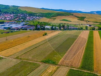 Teren Agricol, Extravilan vanzare, in Brasov, Teliu