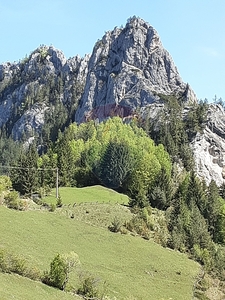 Teren Construcții, Extravilan vanzare, in Neamt, Bicaz-Chei