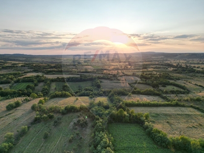 Teren Construcții, Intravilan vanzare, in Timis, Chizatau