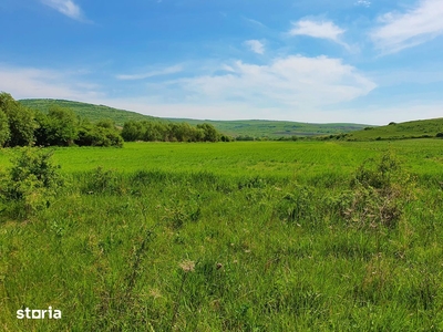 Teren extravilan de vânzare în satul Ciumăfaia, comuna Borșa, județul