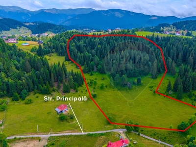 Teren Pădure, Intravilan vanzare, in Brasov, Fundata