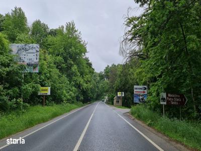 Teren padure 12400 mp Bucium - Iasi - Motel - Pietrarie