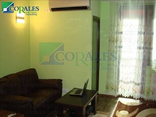 Apartament cu 1 camere in Timisoara , Central