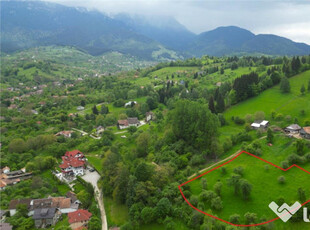 FILM! Langa emblematicul Castel Bran, in areal colinar, 5.70