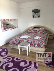 Inchiriere Apartament Bucium 1 Camere