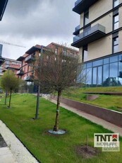 Inchiriere Apartament Bucium 1 Camere