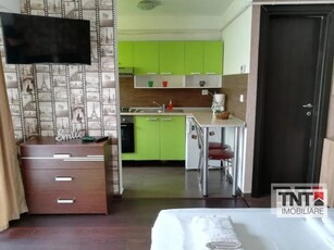 Inchiriere Apartament Centru 1 Camere