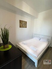 Inchiriere Apartament Centru 2 Camere