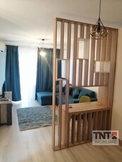 Inchiriere Apartament Nicolina 1 Camere