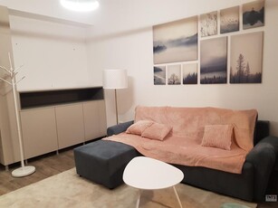 Inchiriere Apartament Pacurari 2 Camere