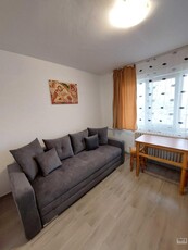 Inchiriere Apartament Podu Ros 1 Camere