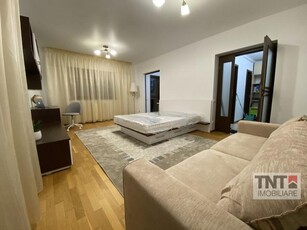 Inchiriere Apartament Tg Cucu Pd Fier 1 Camere