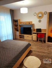 Inchiriere Apartament Tudor Vladimirescu 1 Camere