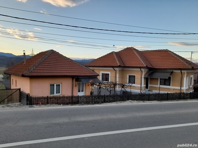 Vând două case și terenuri în oraș Tismana sat Celei