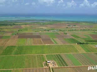 Vand teren agricol extravilan in Tătărăștii de Sus, Teleorman