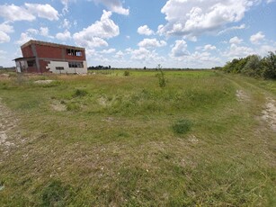 Sabareni, Giurgiu: vand teren intravilan 500 m2, intre 2 paduri, la 15 km de Bucuresti.