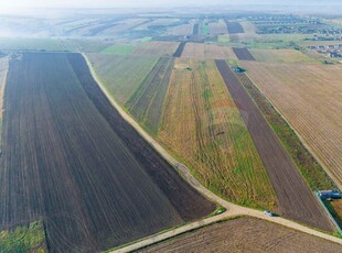 Teren 15,000mp Vorovesti / Strada Militari