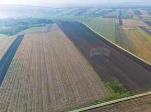 Teren 15,000mp Vorovesti / Strada Militari