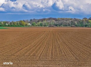 teren agricol extravilan