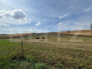 Teren intravilan, 78 ari, zona Moara