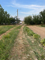 Teren intravilan parcele de vanzare în Cihei