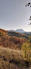 Vand teren extravilan Poiana Marului Brasov