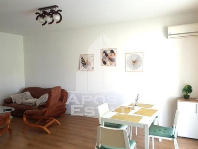 Apartament cu 2 camere, open space, curte proprie, in Ciarda Rosie