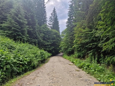 In Amfiteatrul Transilvania Moieciu, Brasov,langa apa curgatoare,recomandat casa de vacanta