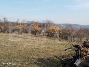 Camera de camin, parter, Calea Bucuresti, zona Dumbrava Minunata