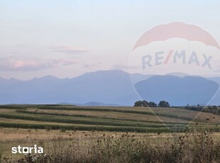 Teren frumos si insorit in Selimbar, in zona Lacurilor Sopa