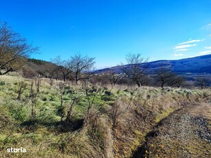 3 camere + loc de parcare, zona Andrei Muresanu