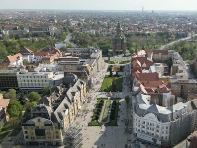 Bacău Zona Narcisa