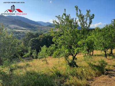 OFERTA! Livada cu pomi si padure de vanzare la 13 km de Alba Iulia