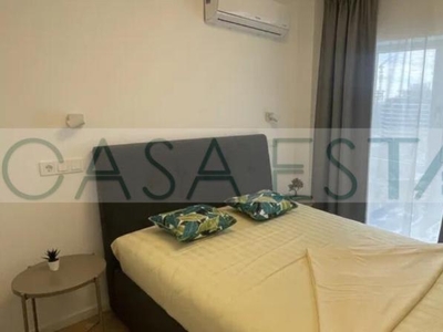 Inchiriere apartament Belvedere