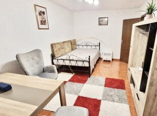 SUPER OFERTA Apartament 1 camera | Zona Lipovei, Timisoara