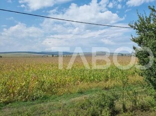 Teren de vanzare extravilan 28000 mp in Sura Mica judetul Sibiu