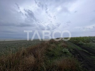 Teren de vanzare extravilan 30000 mp Sura Mare Sibiu