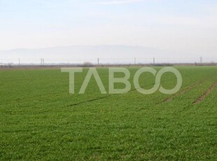 Teren extravilan agricol 12000mp utilitati acces tir Pianu de Jos Alba