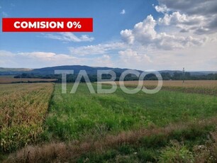 Teren extravilan agricol 5.265mp utilitati acces auto Oarda Alba Iulia