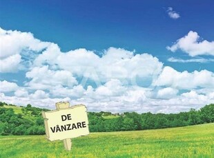 Teren extravilan de vanzare 25465 mp la intrare in Ocna Sibiului