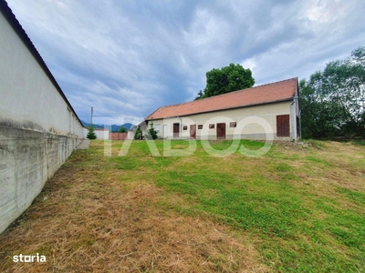 Casa individuala cu balta de pescuit de vanzare in Marginimea Sibiului