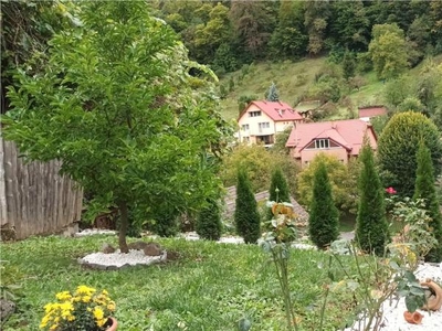 LIVE! Resedinta in peisaj montan + Casa 3 camere, acompaniate de 1.400 mp teren, Brasov