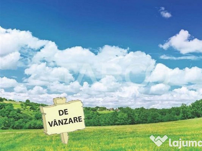 Teren extravilan de vanzare 25465 mp la intrare in Ocna Sibi