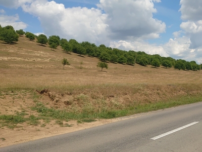 Teren extravilan zona industriala.29000 MP pe drum judetean.