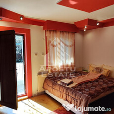 Apartament 1 camera , centrala proprie , zona Blascovici