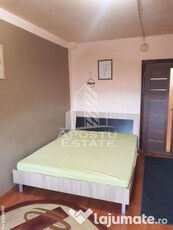 Apartament 1 camera, Centrala Proprie, Zona Buziasului